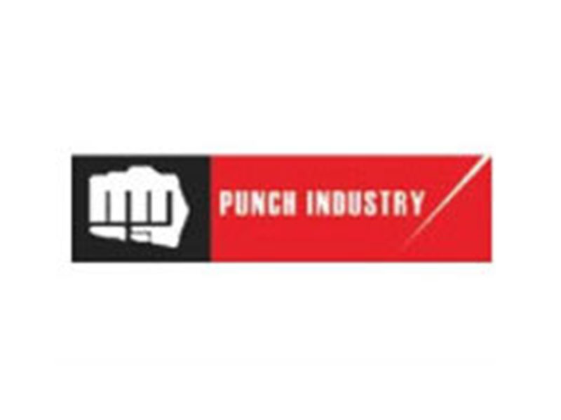 pukch industry